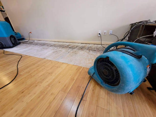 Professional Burst Pipe Water Damage technician working in South Lyme, CT